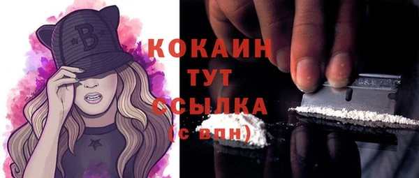 твердый Вяземский