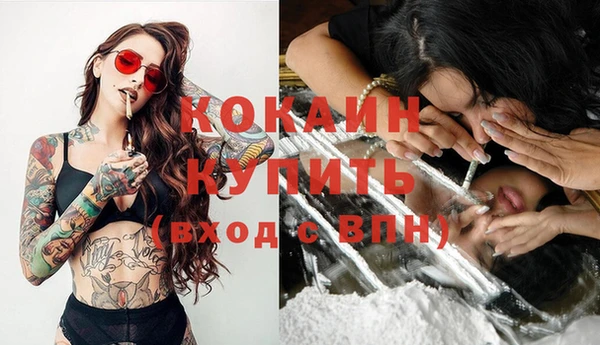 твердый Вяземский