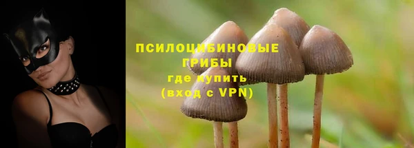 spice Горнозаводск