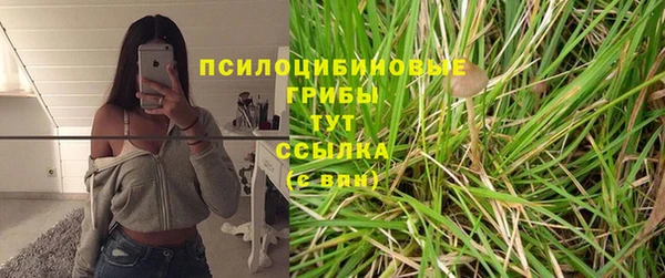 хмурый Горняк
