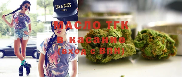 твердый Вяземский